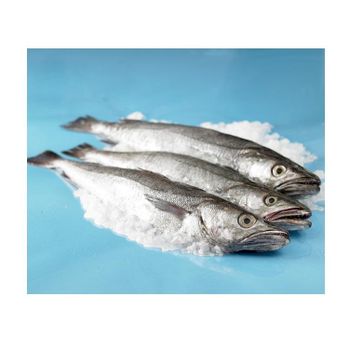Frozen Seafood Hake Fish HGT / Whole Fish For Sale Grade A Type Hake Fish Max. Moisture (%) 5 Sustainability Sustainable Fishing -  CALIPSO POLSKA SP Z OO  - Poland