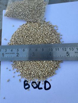 Quinoa Seeds - Chenopodium quinoa Color Red/White Shelf Life 3 Years Flavor Light, Nutty Place of Origin India Certification Non- GMO - Sinhal Herbs - India