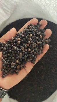 Black pepper – product photo, Dehydrated Black Pepper products found from trusted suppliers, wholesalers, manufacturers & exporters Listing