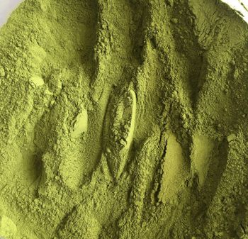 Organic Moringa Powder, Moringa Leaves, TBC's and other Herbs & Spices from Sidheshwar Organic Moringa Powder, Moringa Leaves, TBC's and other Herbs & Spices - Sidheshwar - India