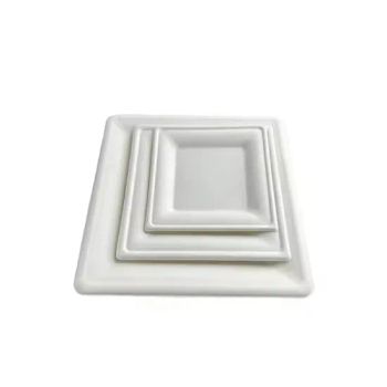Customizable Biodegradable Bagasse Lunch Plate Disposable Waterproof Compostable Sandwich Hot Dog Sushi Tray for Takeaway - Anhui Herten Environmental Protection Products Co., Ltd. - China