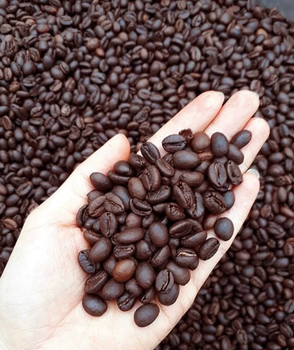 Premium Organic Arabica Roasted Coffee Beans Medium Roast from Vietnam Export Grade - Green Bowl Vietnam - Vietnam