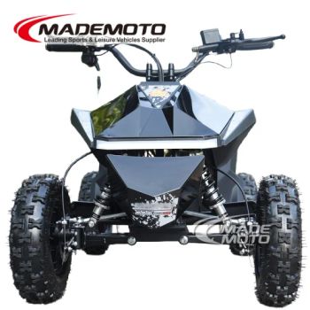 Wholesale 2025 Best Cheap Price 500W 1000W 1500W 36V 48V 60V 72V New Kids Mini Electric Petrol ATV Quad Bike for Sale Children Atv - Wiztem Industry Company Limited - China