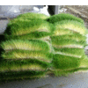 Product – product photo, Dried Kiwi Fruit products found from trusted suppliers, wholesalers, manufacturers & exporters Listing