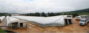 Waterproof Woven Black White Reflective Tarp Farm Cooling Fabric - Gusense Industry Co., Limited - China