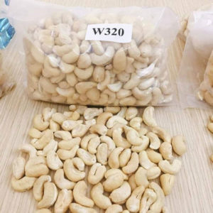Premium Cashew Kernels (Grades WW320 / WW240) Whole Cashew Kernels – Export Quality Hand-selected Premium Cashew Nuts from Burkina Faso from Corail Agro-industrie Premium Cashew Kernels (Grades WW320 / WW240) Whole Cashew Kernels – Export Quality Hand-selected Premium Cashew Nuts from Burkina Faso - Corail Agro-industrie - Burkina Faso