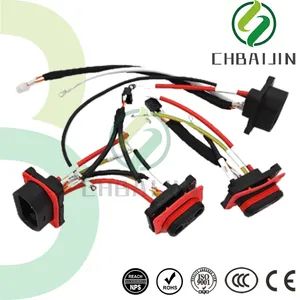 High-Quality Wiring Harness Solutions for Electronics and Appliances - Yueqing Baijin Electronics Co.,Ltd. - China