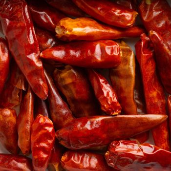 Natural Quality Best Price Red Dried Chili Pepper AD Processed Raw Available in Bulk - TRADECENTRIC LLC - United States