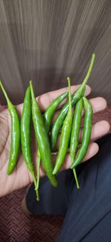 Green Chillies – product photo, Fresh Green Mango products found from trusted suppliers, wholesalers, manufacturers & exporters Listing