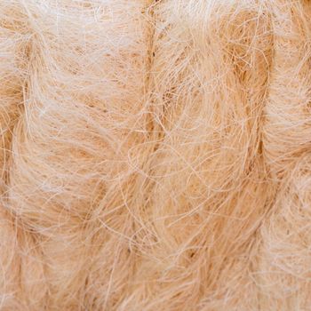Sisal Fiber Natural Fiber at Grade High Quality Modern Common Plaster / Gypsum Board for Hotel Use - AGRONOVA - United States