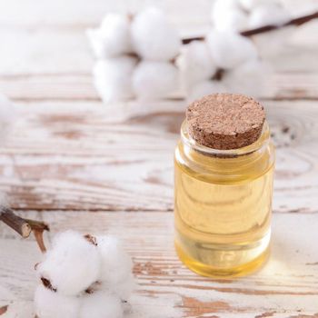 Premium Refined Cottonseed Oil Light Flavor Food Grade Edible Oil Bulk Supply OEM Private Label Available - agroturaspzoo - Poland
