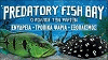 Product - PREDATORY FISH BAY - Greece