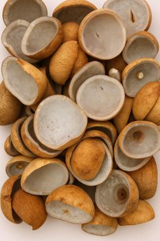 Edible Copra Impurities Max. 1% Oil Content Min. 62–65% Color White To Light Brown Moisture Content Max. 6–7% Free Fatty Acid Content Max. - KARYA INDOCOCO GLORIOUS - Indonesia