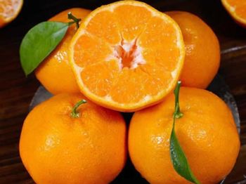 Orange Fresh Tangerine sweet juicy Citrus fruits Color Orange Size 8-10cm Diameter Weight 80-100g/piece Texture Tender, Juicy, Crisp - VM GENERAL TRADING PTY LTD - South Africa