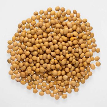 Premium Quality Soybean Seed For Food Offering 98% Purity Rich Natural Protein And Carefully Selected Harvest - TOSOH INTERNATIONAL - South Africa