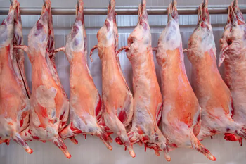 I sell Chilled Goat, Lamb and Beef - Michael - Kenya