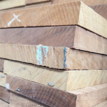 Factory Price Sawn Iroko Wood Timber KD Rough Sawn Hardwood Boards for Furniture Flooring and Construction - AGRONOVA - United States