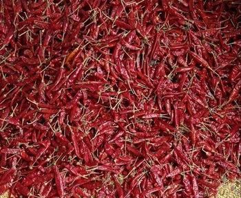 Dried chilli pepper Origin Ghana Style Sun-dried Color Bright Red Moisture Content 8% Type Whole With Stem Fob Price $1600 - 2300 Per - Selene Enterprise  - Ghana