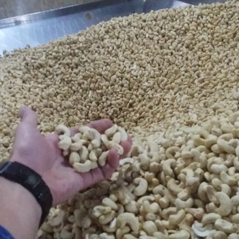 BUY W240 LARGE WHOLE CASHEW NUTS WITH BALANCED SIZE,TEXTURE AND VALUE BEST CASHEW NUTS FOR FOOD SERVICE - Sosa Merchant Solutions - Austria