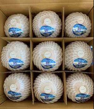 Fresh Coconut (Aromatic Thai Coconut) - Exotropical Co.,Ltd. - Thailand