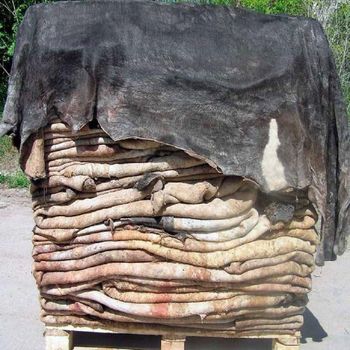 High Quality Wet Salted Donkey Hides and Dry Salted Donkey Skins Fresh Preserved Raw Leather Material Ready to Ship from AGRONOVA High Quality Wet Salted Donkey Hides and Dry Salted Donkey Skins Fresh Preserved Raw Leather Material Ready to Ship - AGRONOVA - United States