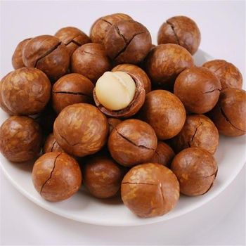 Macadamia Nuts with Shell Shape ROUND Style Dried Fat Content 80% Lead Time 2 Weeks Broken Nuts 3% Max Fiber Content 6.4% - AGRO AFRIQUE COMPANY LIMITED - Tanzania