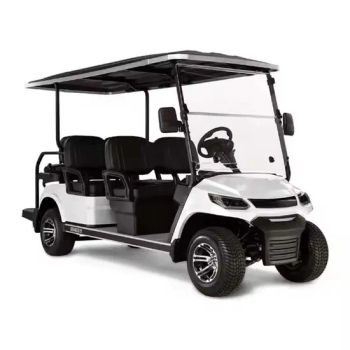 24V Electric Car Golf Cart Electric Golf Trolley Golf Equipment - Tianjin Tuo Ming International Trade Co., Ltd. - China