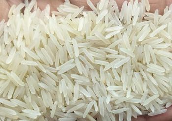 Basmati Rice - M  - India