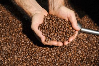 Roasted Robusta Coffee beans Type Roasted Robusta Coffee - AGRO AFRIQUE COMPANY LIMITED - Tanzania