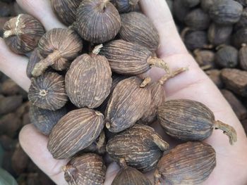 Premium Black Cardamom For Sale -  JAC SEEDS & OIL TRADING (PTY) LTD - South Africa