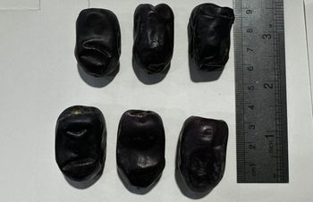 Dates – product photo, Dried Fruit Mixture products found from trusted suppliers, wholesalers, manufacturers & exporters Listing