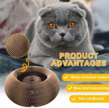 Double - Layer Corrugated Cat Toy with Bell Ball - Interactive Track Scratcher for Kitten Play - Market Union Co. Ltd. - China