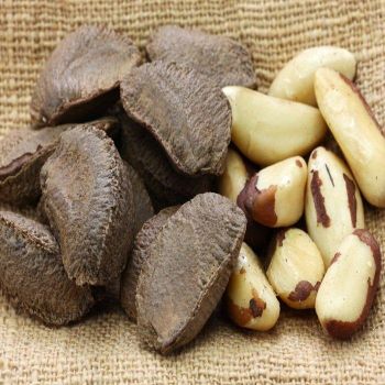 Premium Roasted Brazil Nuts Natural Raw Nuts with Medium Large Extra Large Sizes Edible Wholesale Mix - TRADECENTRIC LLC - United States