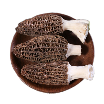 Bulk High Premium 100% Natural Dry Morel Mushroom Dried Morchella Dried Black Morels - Fuyang Bestop Import And Export Ltd. - China
