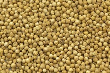 Coriander Seed - Elevate International - India
