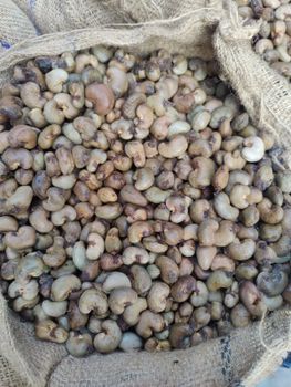 Raw Cashew Nuts (RCN) - Ivory Coast Origin - KOR 48 lbs min - FOB Abidjan – product photo, Cashew Nut Kernel products found from trusted suppliers, wholesalers, manufacturers & exporters Listing
