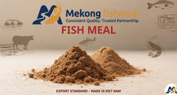 Pangasius Fishmeal 60-65% Protein | Premium Basa Fishmeal for Aquaculture & Poultry - Mekong Fishmeal - mekongfishmeal - Vietnam