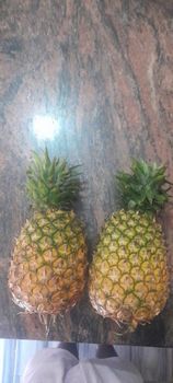 Fresh Pineapple Organic Yes Features Organic Natural Sweetness Yes Degree Of Maturity Mature Degree of Processing Whole Transport Method 40 Ft Container - Jenkins - Uganda
