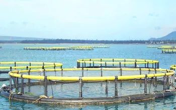 HDPE Aquaculture Traps Fish Cage Fishing Net Fish Farming Cage - Guangdong Nanfengwang Technology Co., Ltd. - China