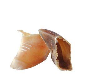NATURAL PET TOYS Color Natural Or White Material Dryed Calf Hooves, Dryed Calf Lung, Dryed Pork Ear - ENRIQUE NAVAL SL - Spain