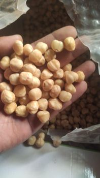 lentils & legumes Packaging bulk Grade all grades Origin Fertile Crescent Of The Middle East Color Red, Green, Brown, Black, Yellow, Green - Siddharth electric construction  - India