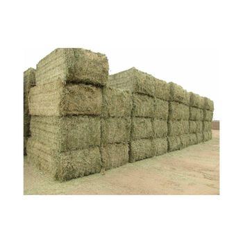 Premium alfalfa hay offered for export grade trade and large scale distribution - AMAC GOLD AND DIAMOND METALS SUPPLIER - Germany