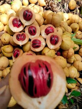 NUTMEG - PT NAZRA BERKAH EXPORT - Indonesia