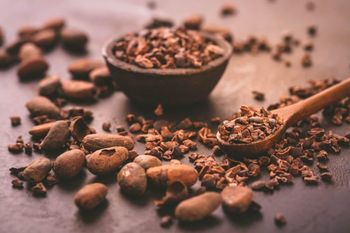 Cocoa Nibs (Crushed Cocoa Beans) Grade A Packaging 25kg carton Drying Process - Nuivita Essentials LLC - United Arab Emirates