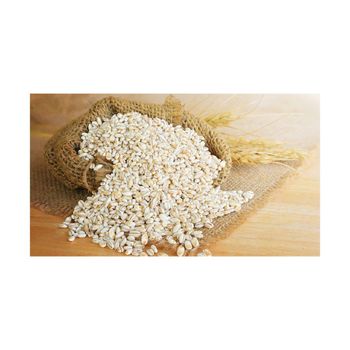 Bulk barley grain wholesale supply at competitive cheap prices - MASI TRADING GMBH - Germany
