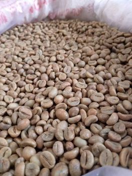 ROBUSTA COFFEE BEANS – product photo, Roasted Robusta Coffee Beans products found from trusted suppliers, wholesalers, manufacturers & exporters Listing