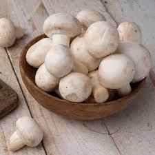 FRESH BUTTON MUSHROOM Shape Round Color White Texture Smooth Appearance Uniform Size Harvest Method Handpicked Packaging CUSTOMIZED PACKING - M/S DEEKSHA ENTERPRISES - India