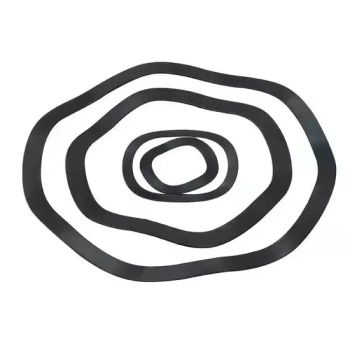 Premium Stainless Steel Passivated Spring Washer for Gaskets - Guangdong Baize High Technology Co., Ltd. - China