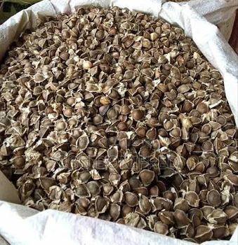 Moringa seed and Moringa powder Sample Availability 200g Price Range $10-15 Per Kg Delivery Method Airfreight - Alefzuriel - Nigeria