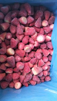 Frozen Strawberry from Ever Fresh For Export Frozen Strawberry - Ever Fresh For Export - Egypt
